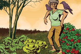 9a0f1e52-0fa4-11e5-98db-22000b078648-Scarecrow