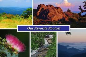 9f3a376a-3eef-11e6-86f1-120dcefc1e29-Collage_July1