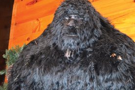 Beware of the hairy Bigfoot model at The Sasquatch Museum in Georgia.