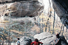 It's one of several spectacular Pennsylvanian sandstone formations in Big South Fork.