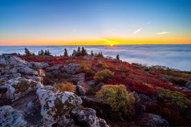 In West Virginia, the rugged trails of Dolly Sods Wilderness lead to sweeping overlooks and untamed mountain scenery.