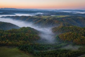 Ron Messina | Courtesy of the Department of Wildlife Resources