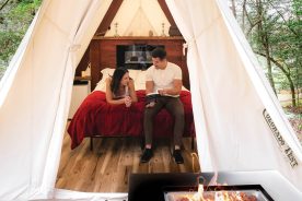 Courtesy of Wunderland