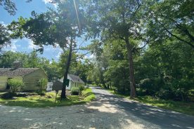 A $1.21 million grant will help the Monacan Indian Nation purchase more than 300 acres on Bear Mountain in Amherst County. © The Conservation Fund