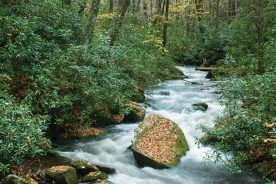 The Joyce Kilmer-Slickrock Wilderness provides a sampler of the ruggedness and the views.