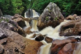 Blackwater Falls is the primary attraction at the state park of the same name; falls is here seen from below instead of from the more-often seen perspective from the platform near the top.