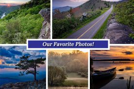 a1535ed2-fa71-11e4-82bd-22000b078648-Collage