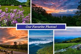 a239dbd4-4180-11e7-8800-0aea2a882f79-Collage