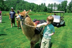 Golfers’ kids can help lead llamas around the course. Mark English, in cart, and Eric Henson, on foot.