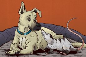 a31d22b0-510b-11eb-81af-1244d5f7c7c6-kindness_matters