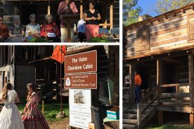 a32ab71e-d1fc-11e6-8aa8-0aea2a882f79-CuriosCabin