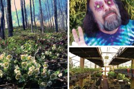 a3706a84-fe89-11e6-a016-0aea2a882f79-GardenGuy