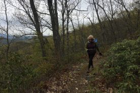Gail along the Glenwood Horse Trail, May, 2020.