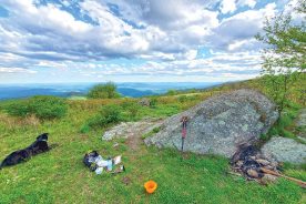 a4380442-5c20-11eb-b608-1244d5f7c7c6-2020-05-31-17.47