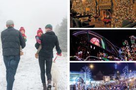 a48fd87a-bb1a-11e7-a91a-121bebc5777e-Holiday-Celebration