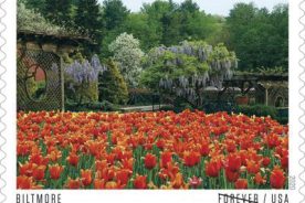 a4c745dc-c6cd-11ea-b9b9-1244d5f7c7c6-foreverStamp