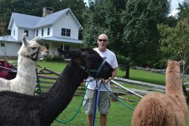 a53fece0-73bd-11e3-b903-1231380a02d9-DSC_0364