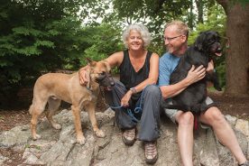 Beth Macy and Tom Landon on Mill Mountain with rescue dogs Charley and Mavis.