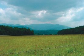 Serene Beauty. The Cades Cove area as seen from one of many scenic overlooks.