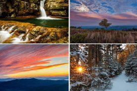 a8d9f936-ad55-11e4-ab05-22000a4f82a6-Collage