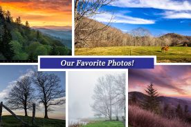 a9300c56-e476-11e4-bc9b-22000a4f82a6-Collage