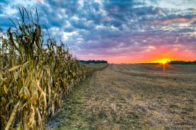 "Field of Dreams". Taken in Dublin, VA 10-05-2012