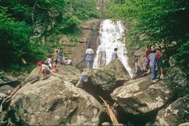 The canyon's six waterfalls are rated to be among the 13 highest in Shenandoah National Park.