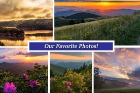 ad5cf338-51f8-11e7-837a-0aea2a882f79-Collage