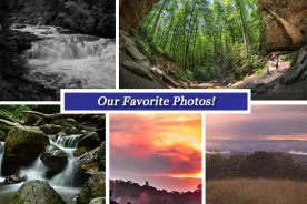 ae868f2c-446a-11e6-b1ba-120dcefc1e29-Collage_July_8