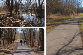 b01ebd56-bc2f-11e4-806a-22000a4f82a6-MDTrails