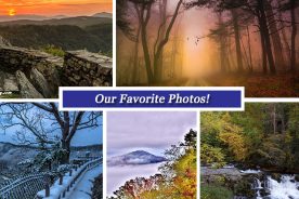 b127791a-e98a-11e6-827a-0aea2a882f79-Collage