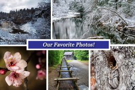 b1619cfc-0a83-11e7-9688-0aea2a882f79-Collage