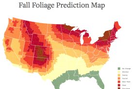 b171c4ae-b76d-11e8-950a-120e7ad5cf50-Interactive-Map