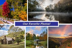 b19cb214-a1fc-11e6-a622-0aea2a882f79-Collage