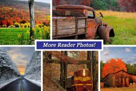 b2109452-4981-11e4-b71f-22000a4f82a6-BRC-Reader-Photos-ND14