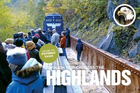 Passengers ride on the open-air gondola car through “The Trough” on West Virginia’s Potomac Eagle Scenic Railroad.