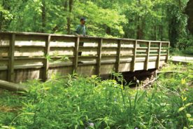 b38b7732-8bf2-11e7-ac70-0a72cbefeab2-Hiking-by-Moon