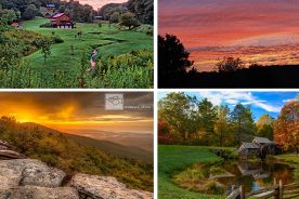 b4198d5c-34f6-11e4-bd00-22000a4f82a6-Collage