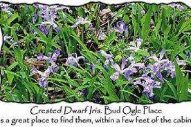 b641c346-e57b-11e1-901c-1231394043be-2