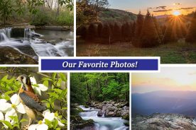 b6872a42-3686-11e7-86c7-0aea2a882f79-Collage