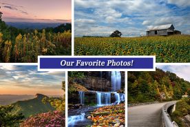 b77133f0-62f5-11e5-93de-22000b078648-Collage