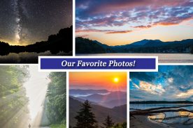 b79a09c4-5274-11e5-a4ff-22000b078648-Collage