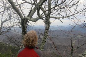 Gail looks across the valley from near Dragon's Tooth, and beyond to Peaks of Otter (the twins there framed on the horizon amid the tangle of branches).