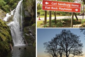 b92e6702-710a-11e6-90db-0a53cdaf7da3-FallTreks