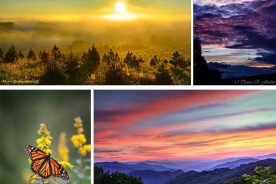 b9728032-3a79-11e4-9a26-22000a4f82a6-Collage