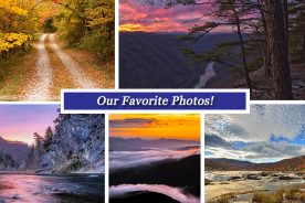 bb6c4ac0-8ef7-11e5-9193-22000b078648-Collage