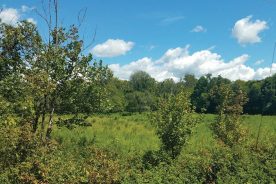 Becky and Wayne Welch sold a 68-acre tract along the Jacob Fork River to the Foothills Conservancy, which will transfer it to North Carolina State Parks.