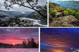 bd38b2aa-a7ec-11e4-9914-22000a4f82a6-Collage