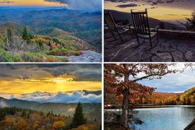 be81d934-5ac6-11e4-882d-22000a4f82a6-Collage