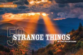 Beams of a sunrise over the Smokies fall upon some 
of the 900 miles of maintained trails in the national park.